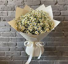 Букет цветов из:  Ромашки #REPLACE_PRED# Тайге