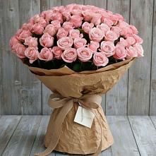 Букет 151 Роза Роуз #REPLACE_PRED# Тайге